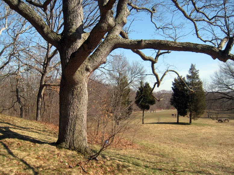 Beaver Brook Reservation, Massachusetts, USA